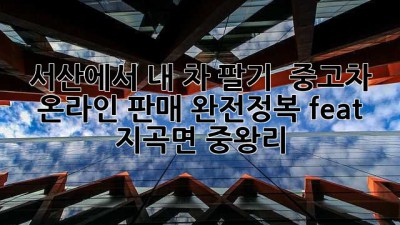 서산에서 내 차 팔기? 🚗💨 중고차 온라인 판매 완전정복! (feat. 지곡면 중왕리)
