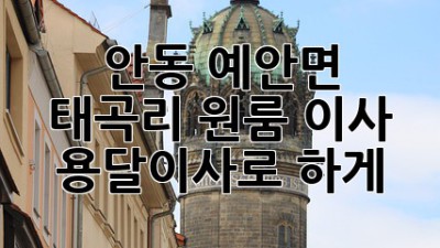 안동 예안면 태곡리 원룸 이사, 용달이사로 轻松하게!